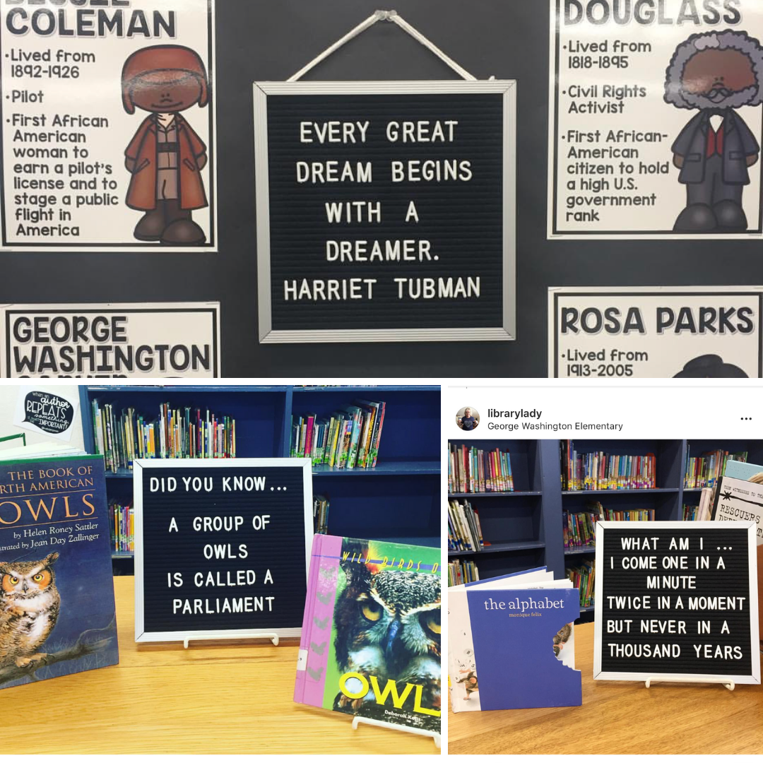 library displays
