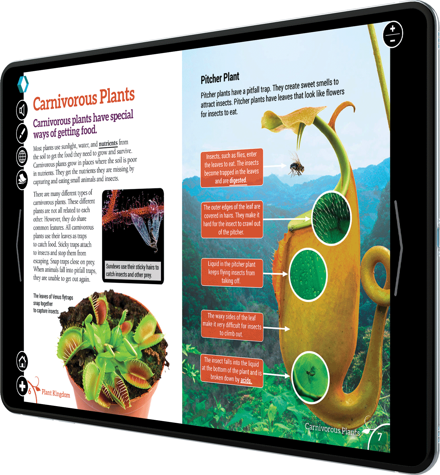 LBX-plant-kingdom-carnivores