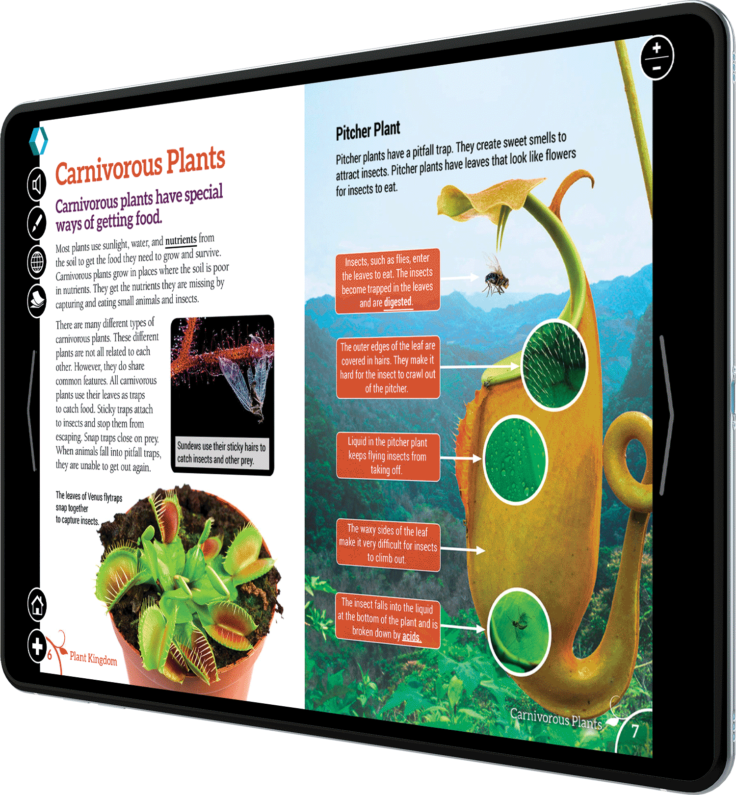 ebook-subscriptions-thanks